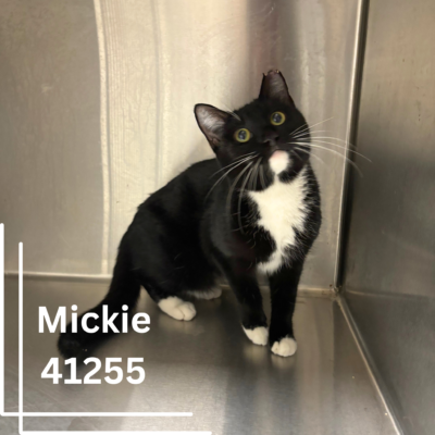 Click to view profile for Mickie 