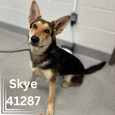 Click to view profile for Skye 