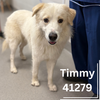 Click to view profile for Timmy 